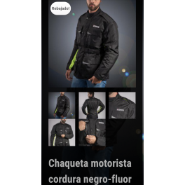 CHAQUETA INVICTUS ANIBAL